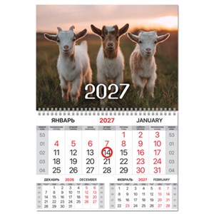 Календарь квартальный 2027 г., 1 блок, 1 гребень, магнитный курсор, мелованная бумага, BRAUBERG, "Символ года", 118340 - фото 10543627