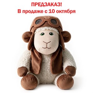 Подарок новогодний "ЛЁТЧИК", "Мягкая игрушка-символ 2027 года", НАБОР конфет 800 г, WELDAY (ВЭЛДЭЙ), 881404 - фото 11999054