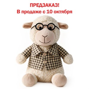 Подарок новогодний "УЧИТЕЛЬ", "Мягкая игрушка-символ 2027 года", НАБОР конфет 800 г, WELDAY (ВЭЛДЭЙ), 881406 - фото 11999056