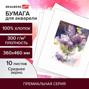 Бумага для акварели ХЛОПОК 100%, 300 г/м2, 360x460 мм, среднее зерно, 10 листов, BRAUBERG ART "PREMIERE", 113226 - фото 2560873