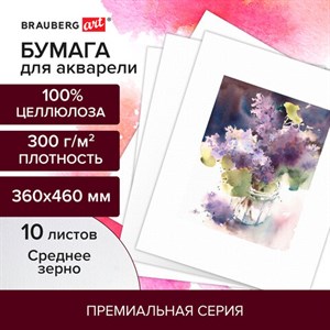 Бумага для акварели 300 г/м2 360x460 мм среднее зерно, 10 листов, BRAUBERG ART PREMIERE, 113228 - фото 2560875