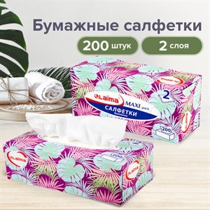 Салфетки косметические 200 шт. в картонном боксе 2-слойные, LAIMA "Everyday", 20х20 см, 113589 - фото 2563139