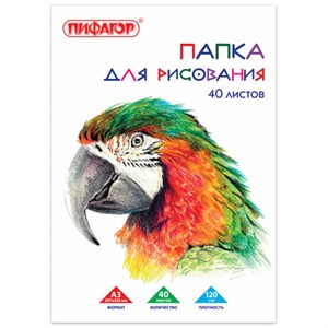 Папка для рисования БОЛЬШОГО ФОРМАТА А3, 40 л., 120 г/м2, ПИФАГОР, 297х420 мм, "Попугай", 129219 - фото 2575302