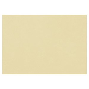 Бумага для пастели (1 лист) FABRIANO Tiziano А2+ (500х650 мм), 160 г/м2, песочный, 52551006 - фото 2575524
