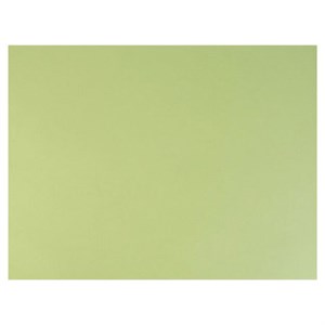 Бумага для пастели (1 лист) FABRIANO Tiziano А2+ (500х650 мм), 160 г/м2, салатовый теплый, 52551011 - фото 2575526