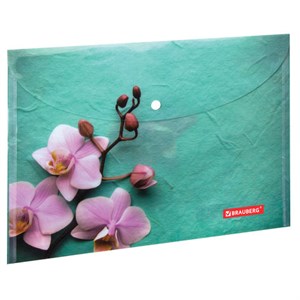 Папка-конверт с кнопкой BRAUBERG "FLOWER", А4, 160 мкм, до 100 листов, цветная печать, 228031 - фото 2620984