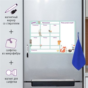 Планинг на холодильник магнитный РАСПИСАНИЕ 42х30 см, с маркером и салфеткой, ЮНЛАНДИЯ, 237851 - фото 2637155