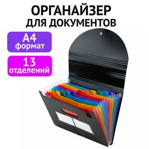 Папка-органайзер для бумаг и документов на резинке, 13 отделений, BRAUBERG DOCS, А4, черная, 271152 - фото 2644950