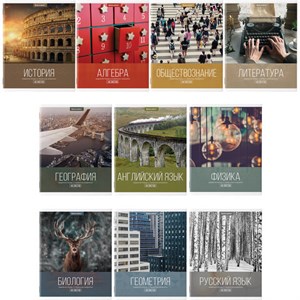 Тетради предметные, КОМПЛЕКТ 10 ПРЕДМЕТОВ, 48 л., обложка картон, BRAUBERG, "КЛАССИКА XXI", 404025 - фото 2663300