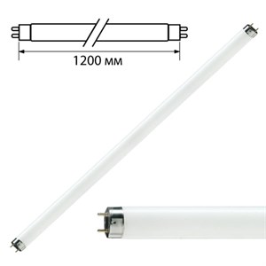 Лампа люминесцентная PHILIPS TL-D 36W/33-640, 36 Вт, цоколь G13, в виде трубки 120 см - фото 2667509