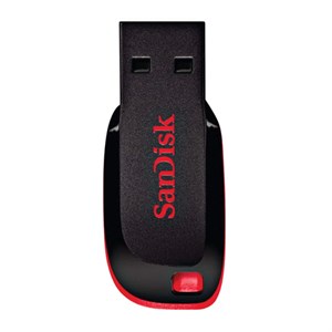 Флеш-диск 128 GB, SANDISK Cruzer Blade, USB 2.0, черный, SDCZ50-128G-B35 - фото 2674829