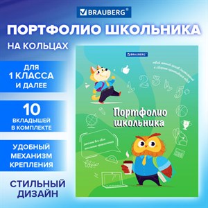 Папка-портфолио школьника "ОТЛИЧНИК", 4 кольца, 20 файлов, 10 вкладышей, 7БЦ матовая, BRAUBERG, 115240 - фото 3024580