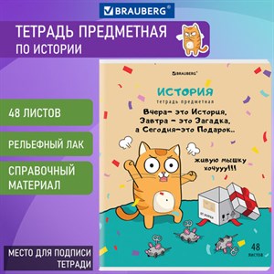 Тетрадь предметная "КОТ-ЭНТУЗИАСТ" 48 л., TWIN-лак, ИСТОРИЯ, клетка, подсказ, BRAUBERG, 404563 - фото 3026066