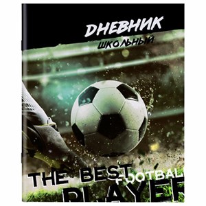 Дневник 1-11 класс 40 л., на скобе, ПИФАГОР, обложка картон, "Футбол", 106817 - фото 3653003