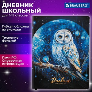 Дневник 1-11 класс 48 л., кожзам (гибкая), печать, фольга, BRAUBERG, "Совушка", 106919 - фото 3783040