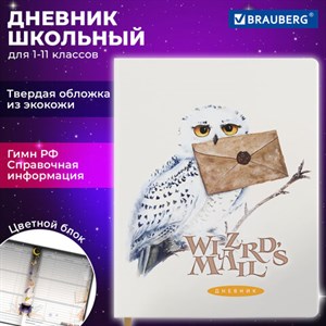 Дневник 1-11 класс 48 л., кожзам (твердая с поролоном), печать, цветной блок, BRAUBERG, "Сова", 106952 - фото 3783096