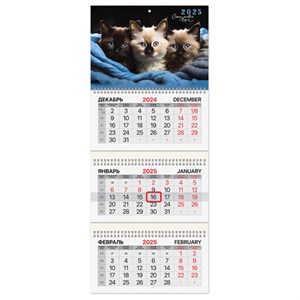 Календарь квартальный на 2025 г., 3 блока, 3 гребня, с бегунком, мелованная бумага, BRAUBERG, "Милые котики", 116138 - фото 4476920