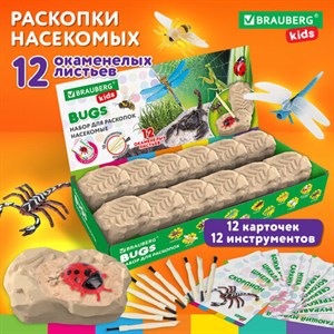 Набор для раскопок "Насекомые", 12 видов, карточки, инструменты, BRAUBERG KIDS, 665127 - фото 5810559