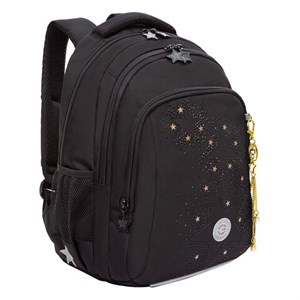 Рюкзак GRIZZLY школьный, анатомическая спинка, 3 отделения, для девочек, "GOLDEN&BLACK", 40х27х20 см, RG-561-2/1 - фото 6147920