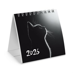 Календарь-домик настольный на гребне, 2026 г., BRAUBERG, 101х101 мм, "Милый котик", 117281 - фото 6286240
