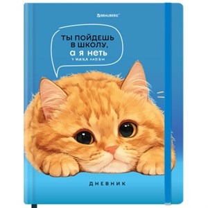 Дневник 1-11 класс 48 л., твердый, BRAUBERG, матовая ламинация, резинка, закладка-ляссе, с подсказом, "Котик", 107239 - фото 6305104