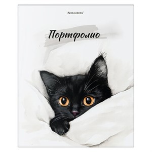 Папка-портфолио универсальная, 4 кольца, 20 файлов, 7БЦ матовая, BRAUBERG "Cat", 107557, 117557 - фото 6320688