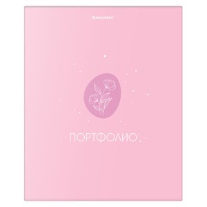 Папка-портфолио универсальная, 4 кольца, 20 файлов, 7БЦ матовая, BRAUBERG, "Gentle", 117558 - фото 6320690