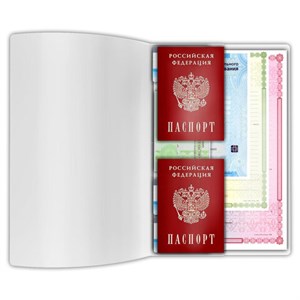 Папка-органайзер, обложка семейная для 2-х комплектов документов, А4, ПВХ, матовая, STAFF, 238873 - фото 6498961