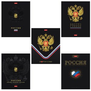 Тетрадь А5 48 л., HATBER, скоба, клетка, матовая ламинация, 3D-фольга, 3D-лак, Россия (микс), 093210, 48Т5лофлВ1 - фото 7527245