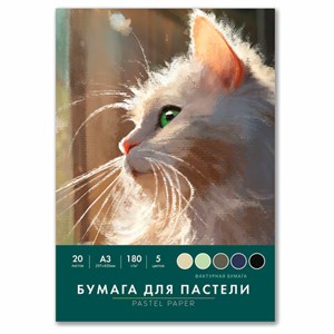 Бумага для пастели БОЛЬШАЯ А3 в папке, 20 листов 5 цветов, 180 гр/м2, BRAUBERG ART CLASSIC, 116346 - фото 7777759