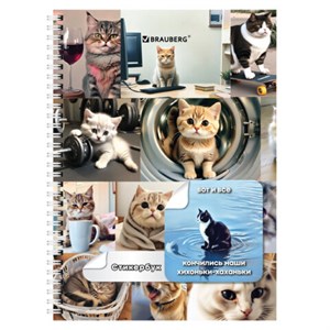 Стикербук ПРОСТО НАКЛЕЙ А6 16 листов 96 цветных стикеров, на гребне, BRAUBERG, Коты мемы, 666050 - фото 7826486