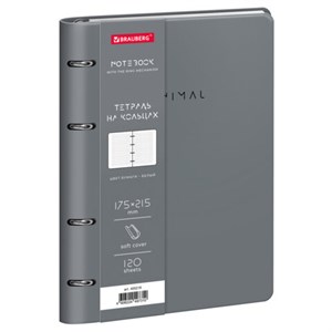 Тетрадь на кольцах А5 180х220, 120л, под кожу, фольга, резинка, BRAUBERG CLASSIC, Minimal мятный, 405216 - фото 7956766