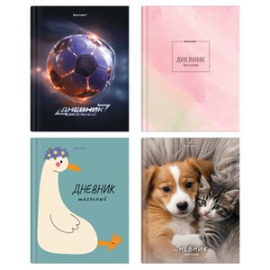 Дневник 5-11 класс 48 л., твердый, BRAUBERG, глянцевая ламинация, с подсказом, "МИКС", 107612 - фото 8554835