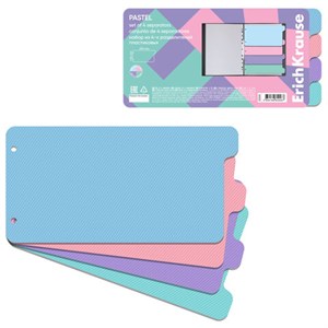 Разделитель пластиковый по цветам ERICH KRAUSE "Diagonal Pastel", НАБОР 4 цвета, 240x12 мм, 62926 - фото 9104837