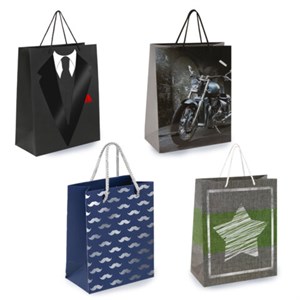 Пакет подарочный (1 штука) 26х13х32 см (L), "Man Style", ассорти, фольга, выборочный лак, ЗОЛОТАЯ СКАЗКА, 700813 - фото 9176601