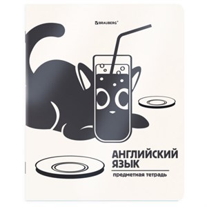 Тетрадь предметная КОТ-НЕПОСЕДА 48л, пластиковая обложка, АНГЛИЙСКИЙ ЯЗЫК, клетка, подсказ, BRAUBERG, 405529 - фото 9295963