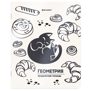 Тетрадь предметная КОТ-НЕПОСЕДА 48л, пластиковая обложка, ГЕОМЕТРИЯ, клетка, подсказ, BRAUBERG, 405532 - фото 9295968