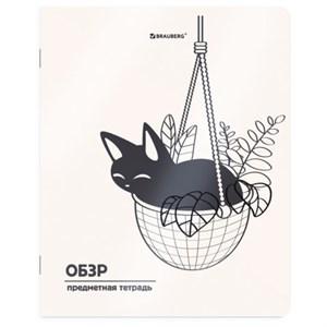Тетрадь предметная КОТ-НЕПОСЕДА 48л, пластиковая обложка, ОБЗР, клетка, подсказ, BRAUBERG, 405539 - фото 9295983