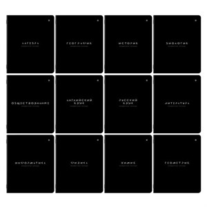 Тетради предметные, КОМПЛЕКТ 12 ПРЕДМЕТОВ 48л, пластиковая обложка, BRAUBERG "BLACK MODE", 405541 - фото 9296005