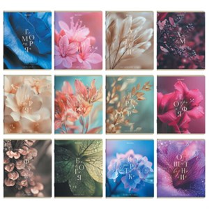 Тетради предметные, КОМПЛЕКТ 12 ПРЕДМЕТОВ 48л, пластиковая обложка, BRAUBERG "PURE NATURE", 405543 - фото 9296019