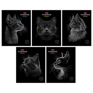 Тетрадь А5 48л. HATBER скоба, клетка, матовая ламинация, 3D лак, Black Cat (микс в сп, 48Т5лолВ1 - фото 9457252
