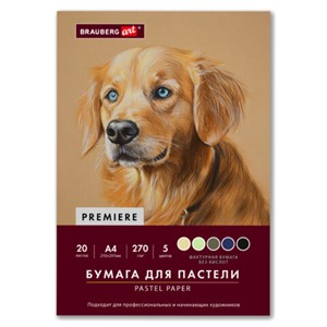 Бумага для пастели ФАКТУРНАЯ А4 в папке, 20 листов 5 цветов, 270 г/м2, BRAUBERG ART,, 117755 - фото 9463179
