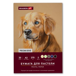 Бумага для пастели ФАКТУРНАЯ А3 в папке, 20 листов 5 цветов, 270 г/м2, BRAUBERG ART,, 117756 - фото 9463181