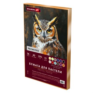 Бумага для пастели ФАКТУРНАЯ А3 в коробке, 36 листов 12 цветов, 270 г/м2, BRAUBERG AR, 117760 - фото 9463184