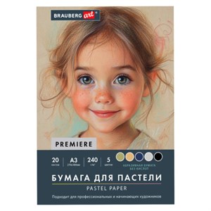 Бумага для пастели АБРАЗИВНАЯ А3 в папке, 20 листов 5 цветов, 240 г/м2, BRAUBERG ART, 117764 - фото 9471653