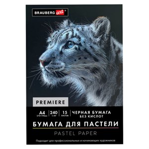 Бумага для пастели АБРАЗИВНАЯ А4 в папке, 15 листов, ЧЕРНАЯ, 240 г/м2, BRAUBERG ART, 117765 - фото 9471654