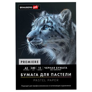 Бумага для пастели АБРАЗИВНАЯ А3 в папке, 15 листов, ЧЕРНАЯ, 240 г/м2, BRAUBERG ART, 117766 - фото 9471655
