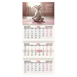 Календарь квартальный на 2027 г., 3 блока, 3 гребня, бегунок, мелованная бумага, BRAUBERG FUN, "Goat yoga", 118440