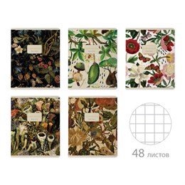 Тетрадь А5 48 л. BRUNO VISCONTI скоба, клетка, Soft Touch, фольга, "FLORA" (5 видов), 7-48-1343