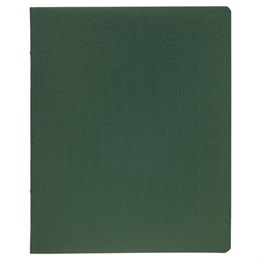 Тетрадь А5, 96 л., HATBER, скоба, клетка, soft-touch ламинация, тиснение КРОКО, "СОЛО_Пихтовый", 096336, 96Т5лтВ1